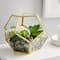 Gold Octagon Glass Terrarium By Ashland™